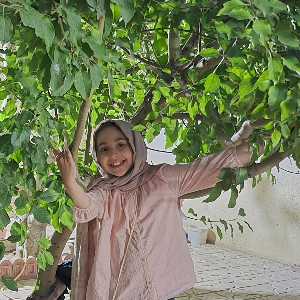 آیسا شربیانی