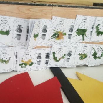 چهارشنبه و زمین 
