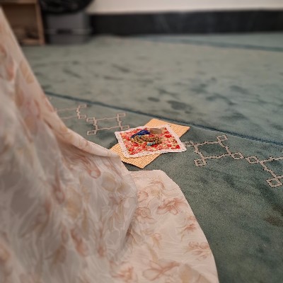 ظهرانه مشکوتی🌸