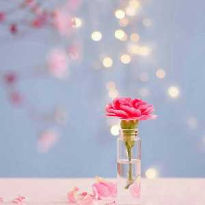 فاطمه واعظی (هشتم)