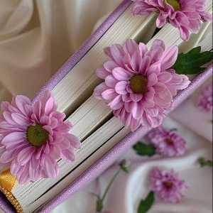 فاطمه واعظی (هشتم)